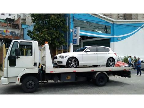 Guincho Perto da Rodovia dos Bandeirantes